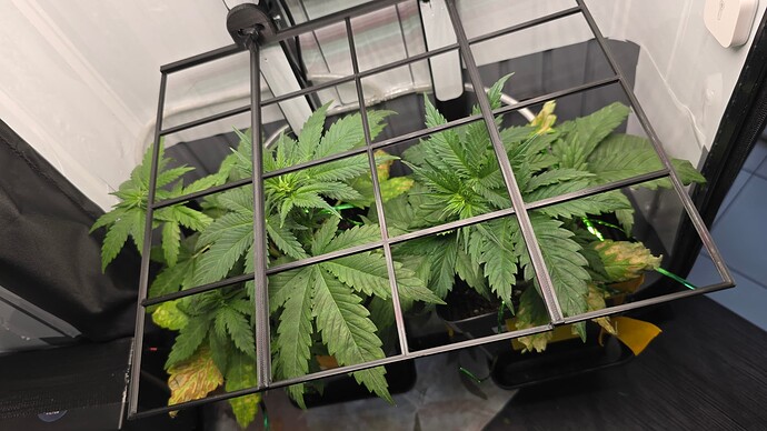 Growreport Bild 8