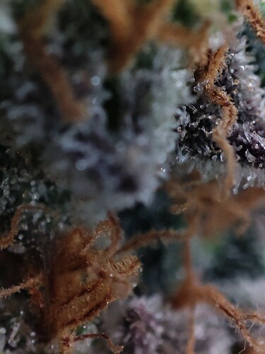 Growreport Bild 18