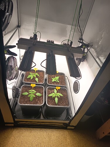 Growreport Bild 8