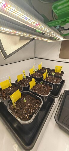 Growreport Bild 14