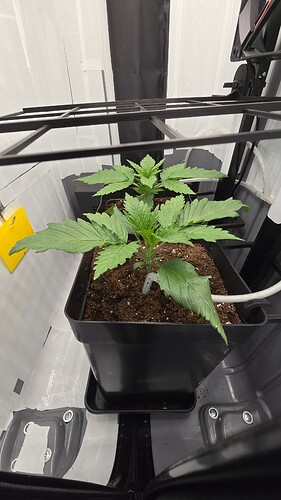 Growreport Bild 7