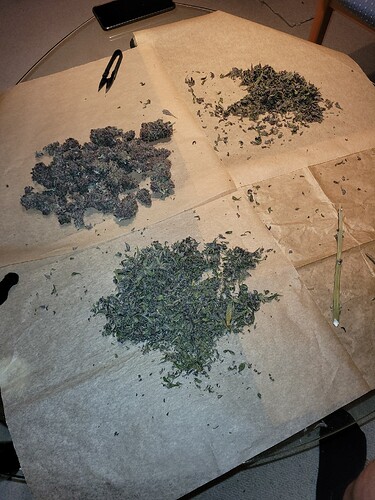 Growreport Bild 5