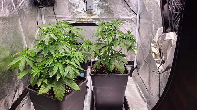 Growreport Bild 46
