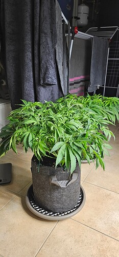 Growreport Bild 25