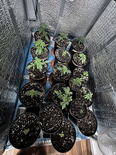 Growreport Bild 8