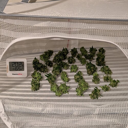 Growreport Bild 10