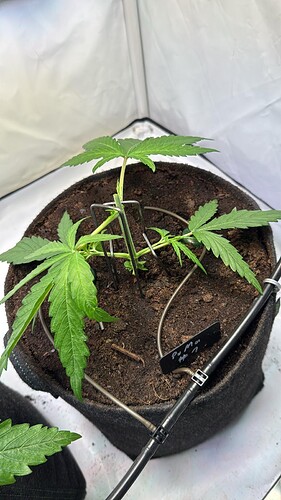 Growreport Bild 9