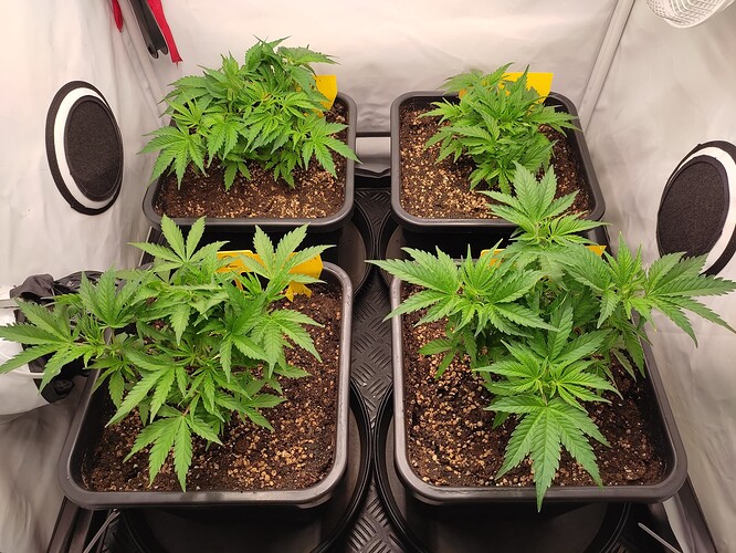 Growreport Bild 22