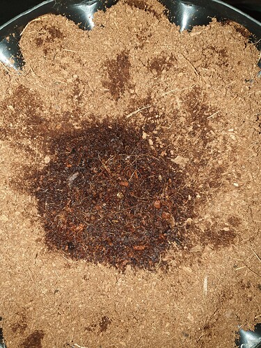 2025-02-10-12-42-55-628