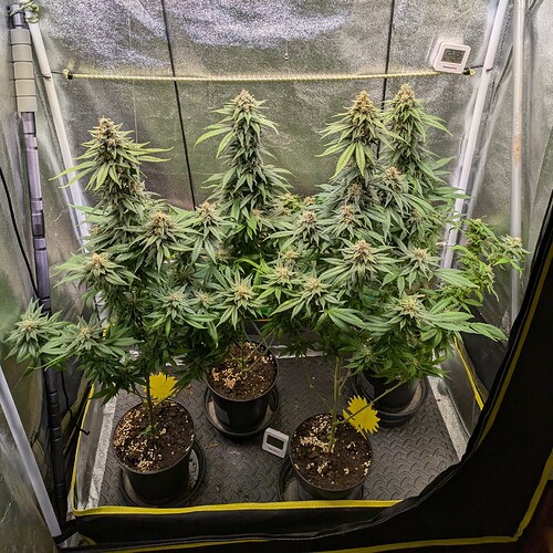 Growreport Bild 5