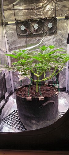 Growreport Bild 12