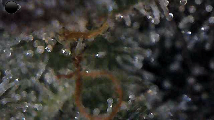 Growreport Bild 14