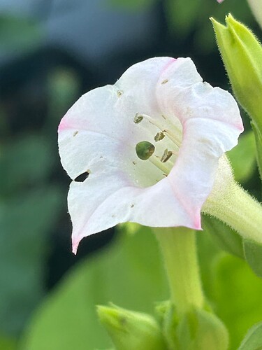 Growreport Bild 36