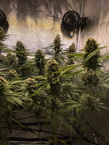 Growreport Bild 15