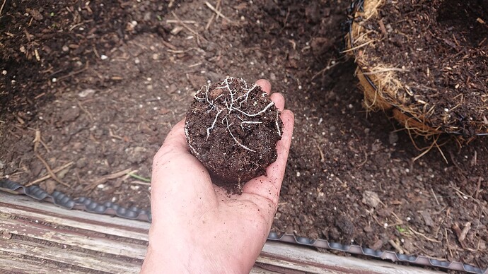 Growreport Bild 40