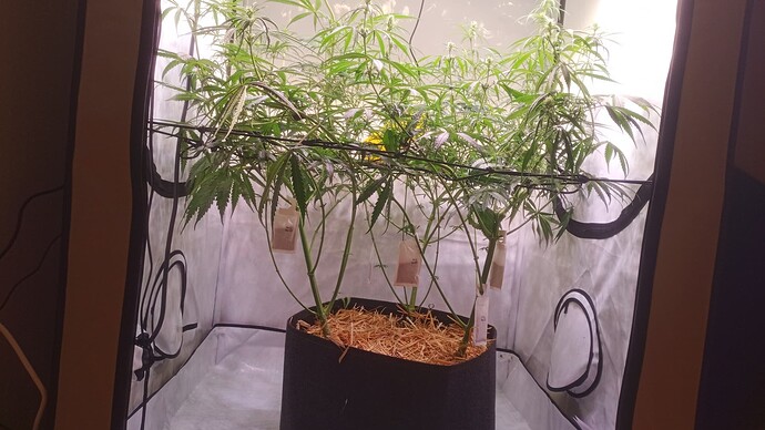 Growreport Bild 5