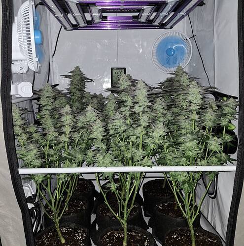 480048141_122168031578293599_5427961850943904357_n