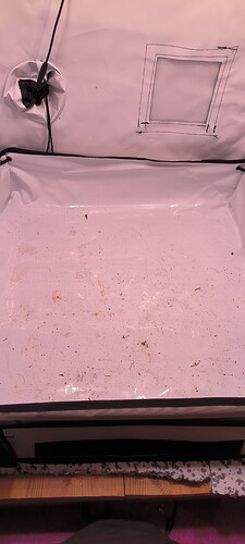Growreport Bild 1