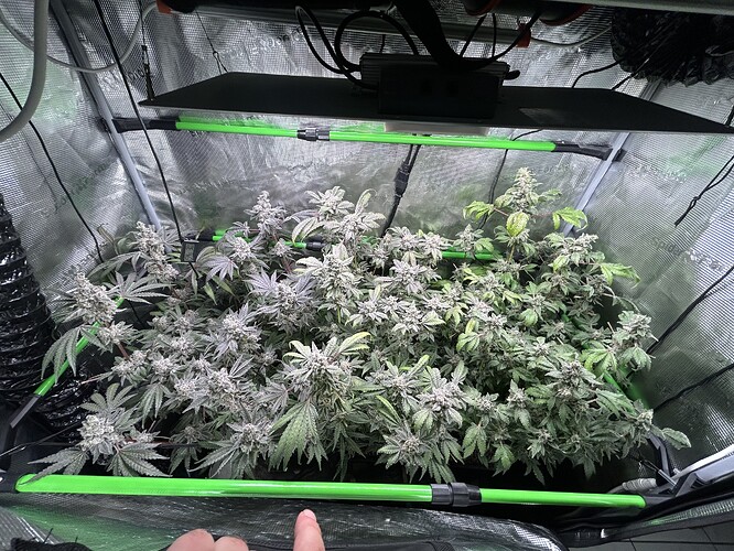 Growreport Bild 4