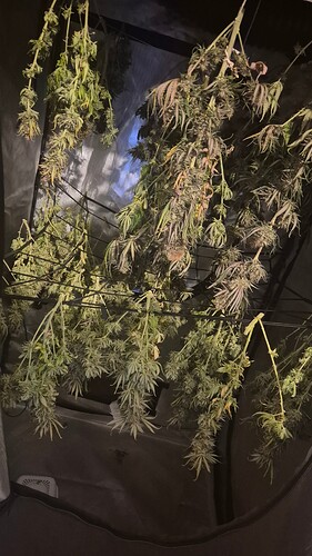 Growreport Bild 2
