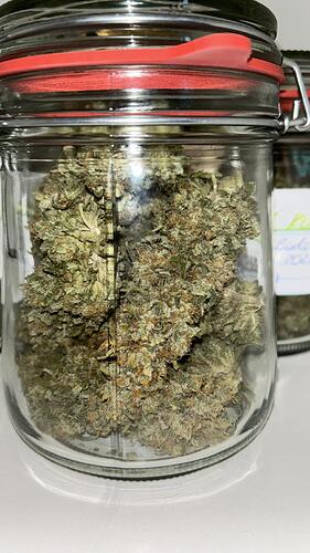 Growreport Bild 2