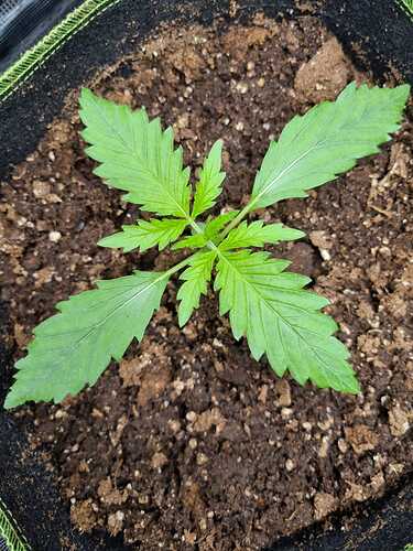 WhatsApp Image 2024-05-03 at 00.42.45