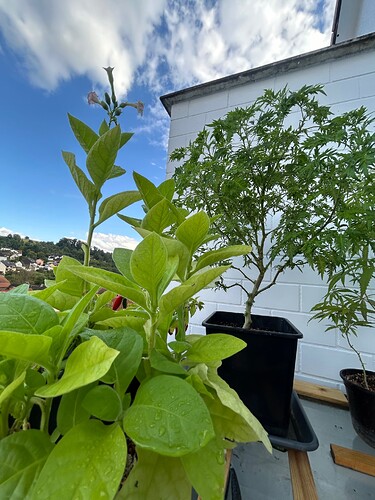 Growreport Bild 18