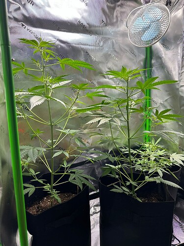 WhatsApp Bild 2024-07-10 um 16.08.16_0ac1f418