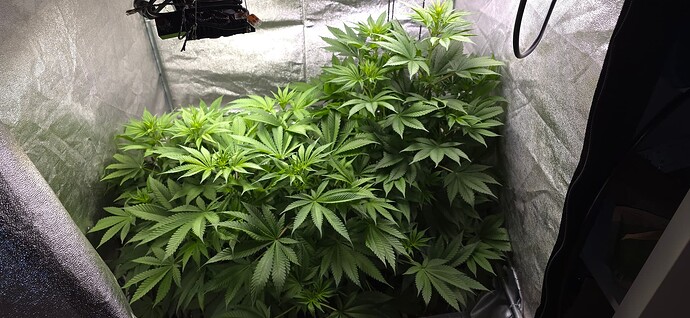 Growreport Bild 6