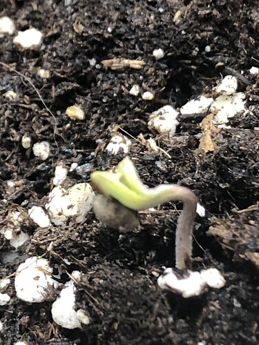 Growreport Bild 20