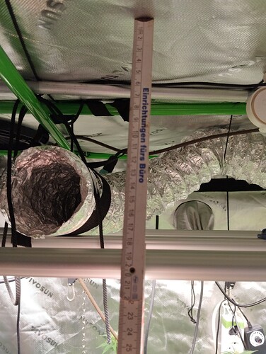 Growreport Bild 5