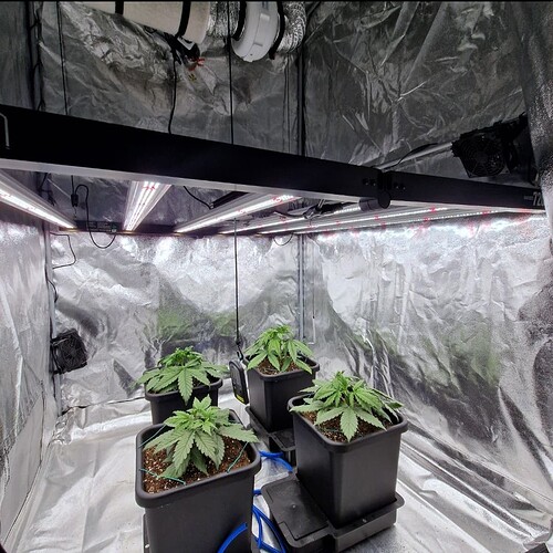 Growreport Bild 11