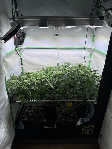 Growreport Bild 40
