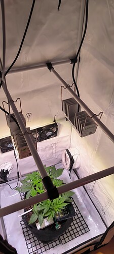 Growreport Bild 5