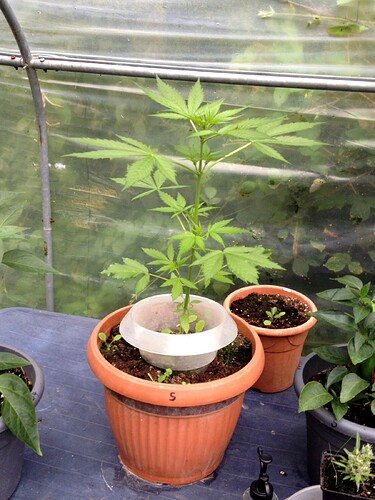 Growreport Bild 14