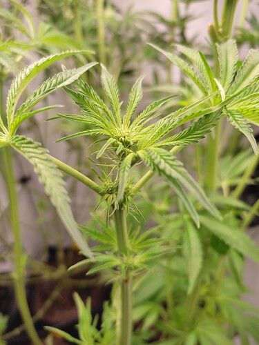 Growreport Bild 14