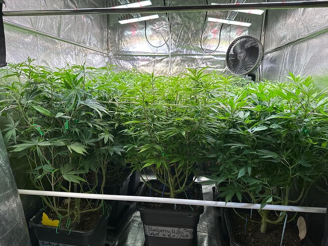 Growreport Bild 12