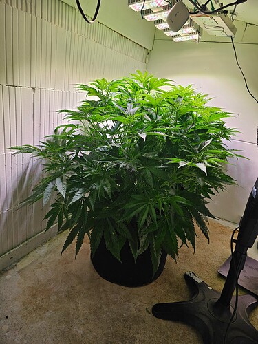 Growreport Bild 4