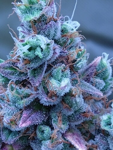 IMG_20240628_154141855