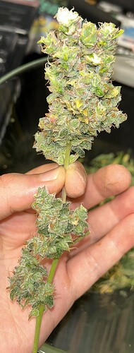 Growreport Bild 16