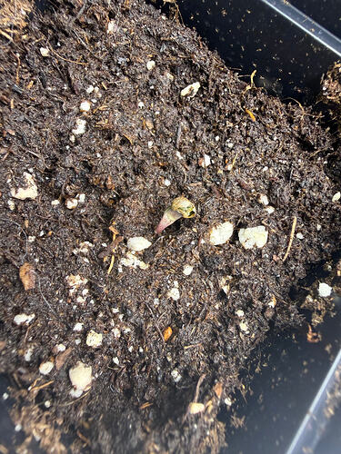 Growreport Bild 19