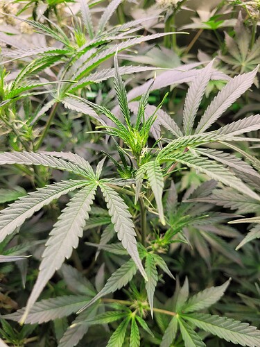 Growreport Bild 17