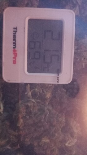 Growreport Bild 5