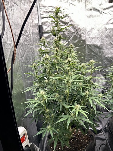 Growreport Bild 2