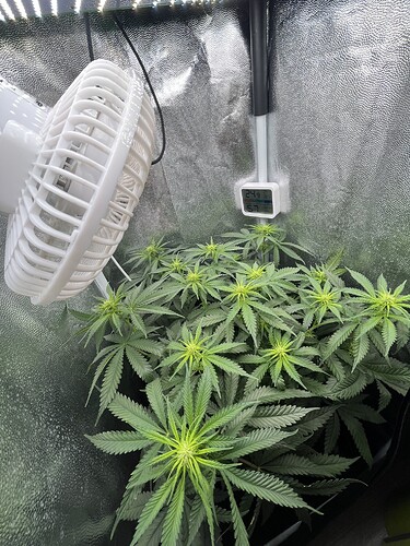 Growreport Bild 3