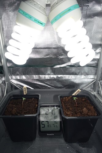Growreport Bild 7
