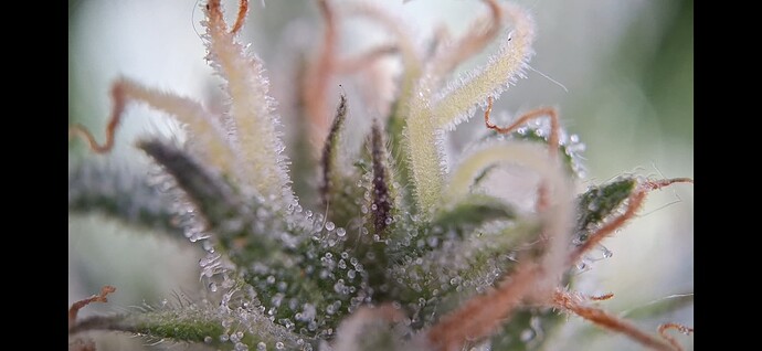 Growreport Bild 19