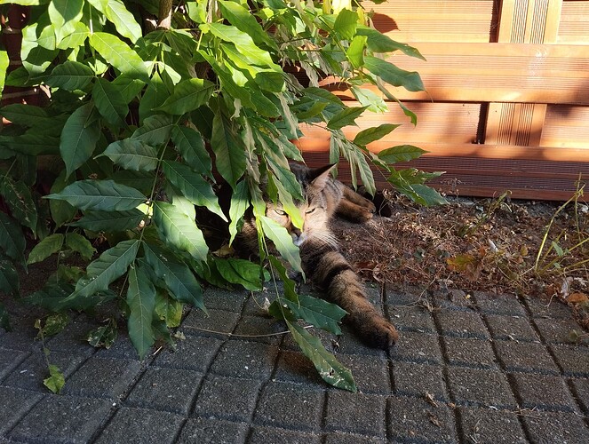 Growreport Bild 7