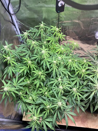 Growreport Bild 19