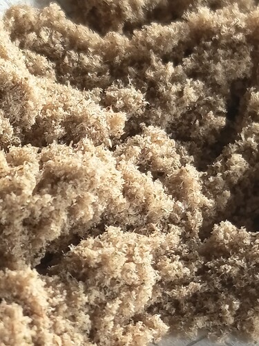 Growreport Bild 69